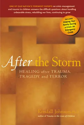 Po bouři: Uzdravení po traumatu, tragédii a teroru - After the Storm: Healing After Trauma, Tragedy and Terror