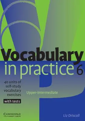 Slovní zásoba v praxi: 40 jednotek samostudia: Cvičení na slovní zásobu s testy - Vocabulary in Practice: 40 Units of Self-Study Vocabulary Exercises with Tests