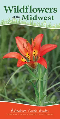 Divoké květiny Středozápadu: Snadné určování divokých květin: Knížka pro středozápadní Evropu: Jak snadno určit divoké květiny? - Wildflowers of the Midwest: Your Way to Easily Identify Wildflowers