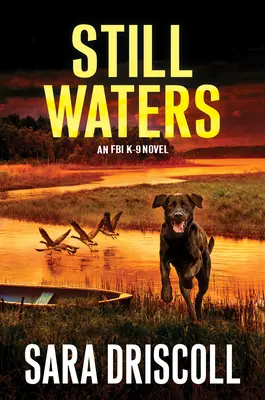 Tiché vody: Strhující román plný napětí - Still Waters: A Riveting Novel of Suspense