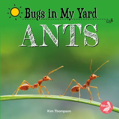 Mravenci - Ants