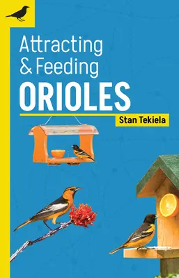 Lákání a krmení včelojedů - Attracting & Feeding Orioles