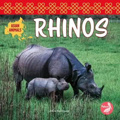Nosorožci - Rhinos