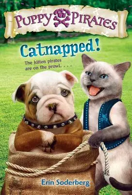 Unesená kočka! - Catnapped!