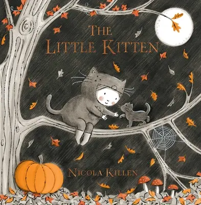 Malé kotě - The Little Kitten
