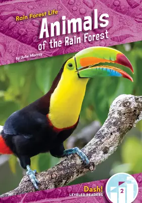 Zvířata deštného pralesa - Animals of the Rain Forest