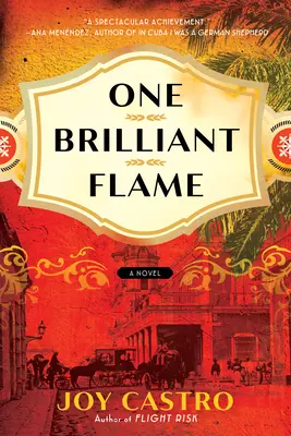 Jeden zářivý plamen - One Brilliant Flame