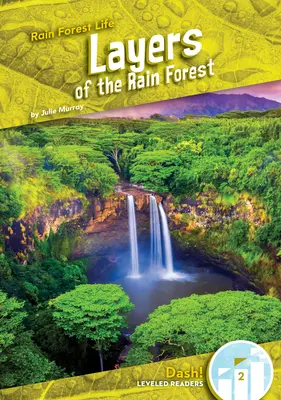 Vrstvy deštného pralesa - Layers of the Rain Forest