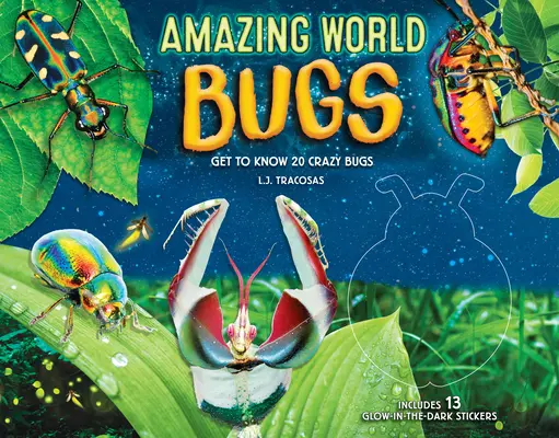 Úžasný svět: Broučci: Poznejte 20 bláznivých brouků - Amazing World: Bugs: Get to Know 20 Crazy Bugs
