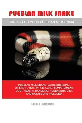 Pueblanský mléčný had: Mléčný had Pueblan: fakta, chov, kde koupit, druhy, péče, temperament, náklady, zdraví, manipulace, chov, strava, a - Pueblan Milk Snake: Pueblan Milk Snake facts, breeding, where to buy, types, care, temperament, cost, health, handling, husbandry, diet, a