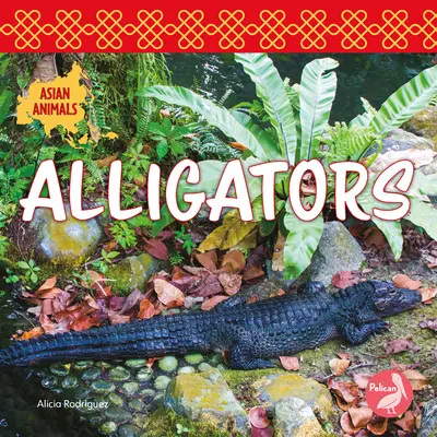 Aligátoři - Alligators
