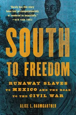 Na jih ke svobodě: Útěk otroků do Mexika a cesta k občanské válce - South to Freedom: Runaway Slaves to Mexico and the Road to the Civil War