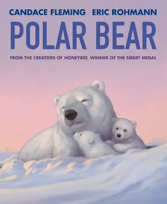 Lední medvěd - Polar Bear
