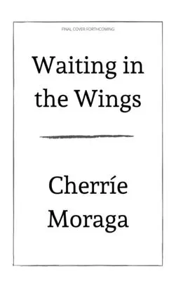 Čekání v křídlech: Portrét queer mateřství - Waiting in the Wings: Portrait of a Queer Motherhood