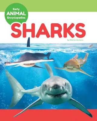 Žraloci - Sharks