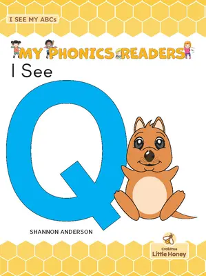 Vidím Q - I See Q