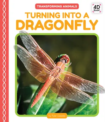 Proměna ve vážku - Turning Into a Dragonfly