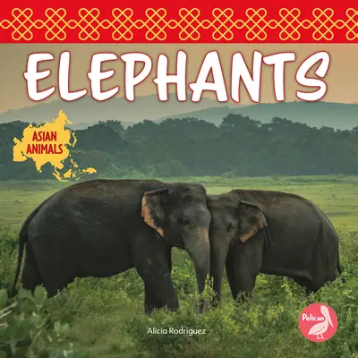 Sloni - Elephants