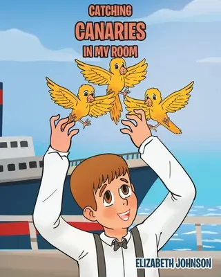 Chytání kanárků v mém pokoji - Catching Canaries in my Room