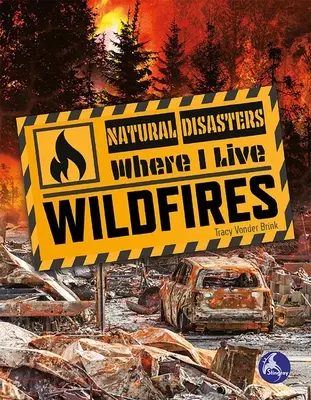 Lesní požáry - Wildfires