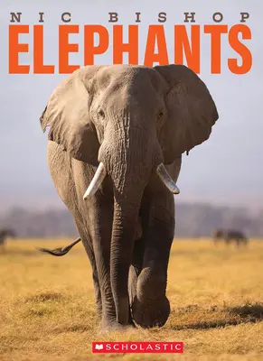 Nic Bishop Sloni - Nic Bishop Elephants