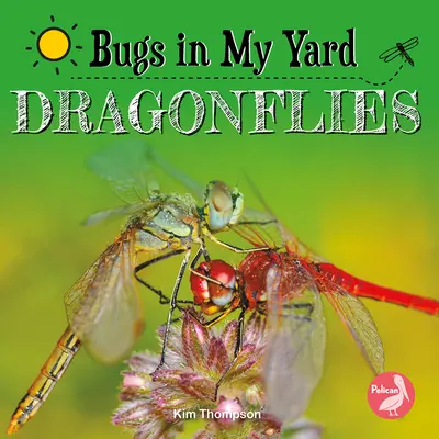 Vážky - Dragonflies