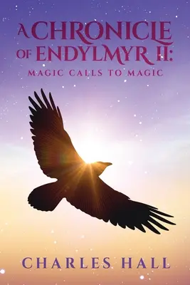 Kronika Endylmyru II: Magie volá po magii - A Chronicle of Endylmyr II: Magic Calls to Magic