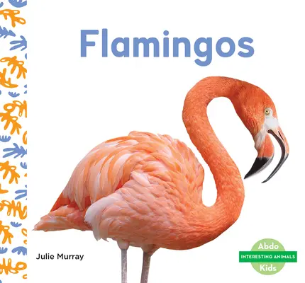 Plameňáci (Flamingos) - Flamingos