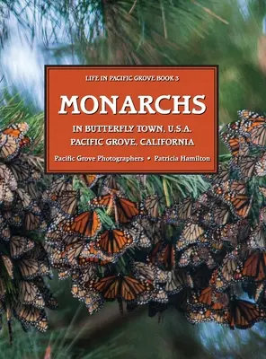 MONARCHY V motýlím městě USA, Pacific Grove, Kalifornie - MONARCHS In Butterfly Town U.S.A., Pacific Grove, California