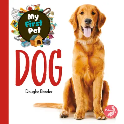 Pes - Dog