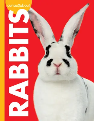 Zvědaví na králíky - Curious about Rabbits