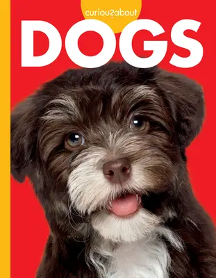 Zvědavost na psy - Curious about Dogs