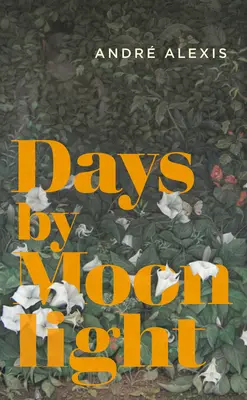 Dny za svitu měsíce - Days by Moonlight