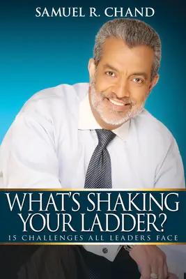 Co otřásá vaším žebříčkem: 15 výzev, kterým čelí všichni lídři - What's Shaking Your Ladder?: 15 Challenges All Leaders Face