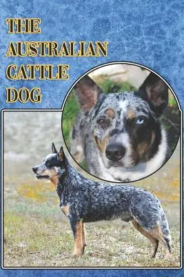 Australský honácký pes: A Complete and Comprehensive Beginners Guide To: Koupě, vlastnictví, zdraví, péče, výcvik, poslušnost, porozumění - The Australian Cattle Dog: A Complete and Comprehensive Beginners Guide To: Buying, Owning, Health, Grooming, Training, Obedience, Understanding
