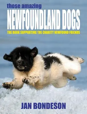 Ti úžasní novofundlandští psi - Those Amazing Newfoundland Dogs