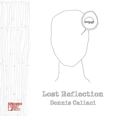 Ztracený odraz - Lost Reflection