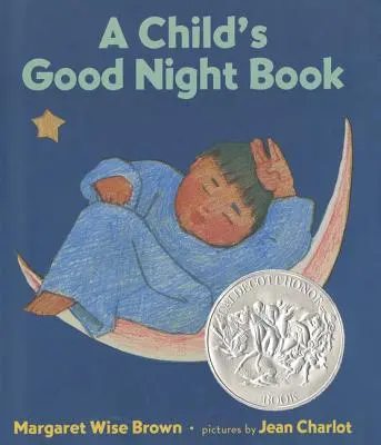 Dětská knížka na dobrou noc - A Child's Good Night Book