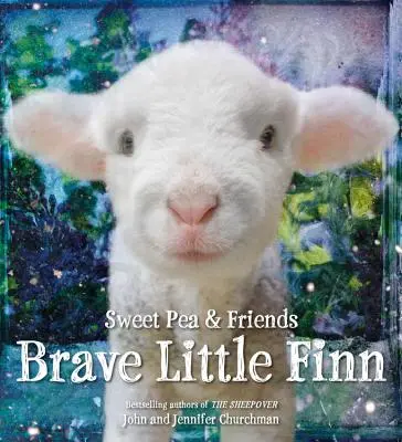 Statečný malý Finn - Brave Little Finn
