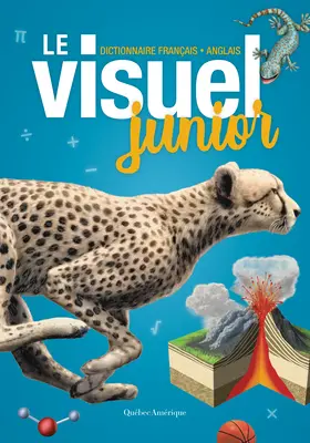 Le Visuel Junior (Mladší ročník): Dictionnaire Franais - Anglais - Le Visuel Junior: Dictionnaire Franais - Anglais