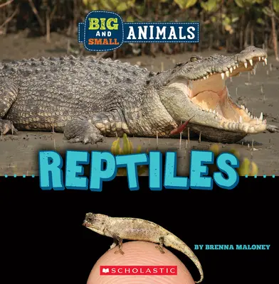 Plazi (Divoký svět: Velká a malá zvířata) - Reptiles (Wild World: Big and Small Animals)