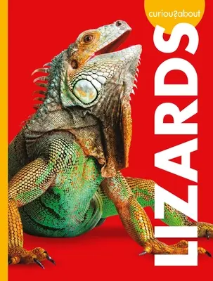 Zvědaví na ještěry - Curious about Lizards