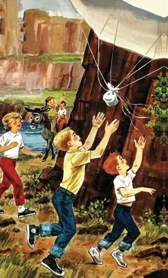 Šťastní Hollisterovi a záhada na hradní skále: speciální vydání HARDCOVER - The Happy Hollisters and the Castle Rock Mystery: HARDCOVER Special Edition