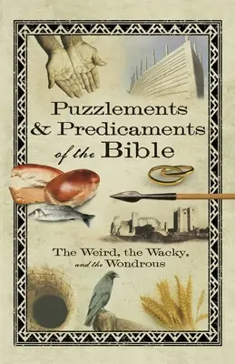 Biblické hádanky a rébusy: Podivné, bláznivé a podivuhodné příběhy z Bible - Puzzlements & Predicaments of the Bible: The Weird, the Wacky, and the Wondrous