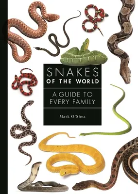 Hadi světa: Průvodce pro každou rodinu - Snakes of the World: A Guide to Every Family