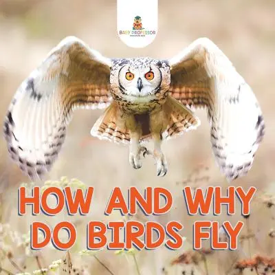 Jak a proč létají ptáci - How and Why Do Birds Fly