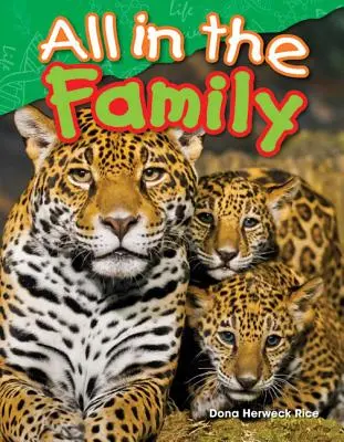 Vše v rodině - All in the Family
