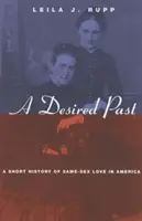 Vytoužená minulost: A Short History of Same-Sex Love in America (Krátké dějiny lásky mezi osobami stejného pohlaví v Americe) - A Desired Past: A Short History of Same-Sex Love in America