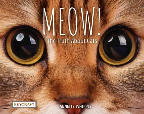 Mňau! pravda o kočkách - Meow! the Truth about Cats