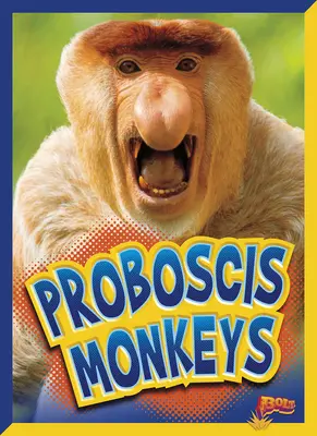 Chobotnaté opice - Proboscis Monkeys